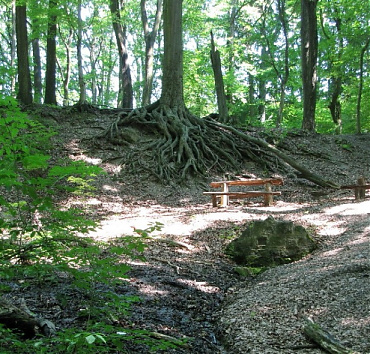 Törökmező - Hétforrás - 